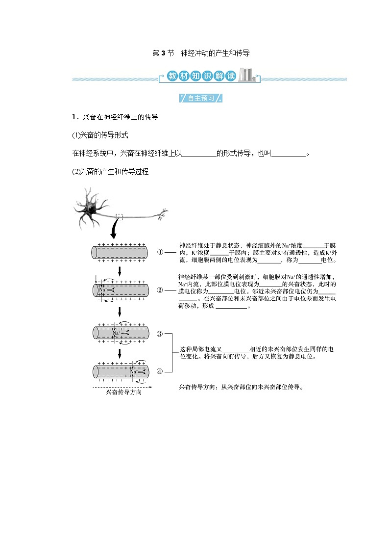 人教版高中生物选择性必修1第2章第3节神经冲动的产生和传导学案第1页