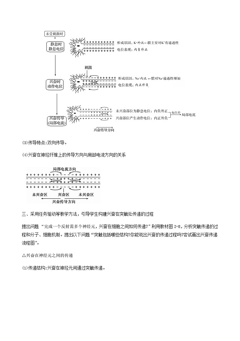 2.3神经冲动的产生和传导教学设计 高中生物人教版（2019）选择性必修102