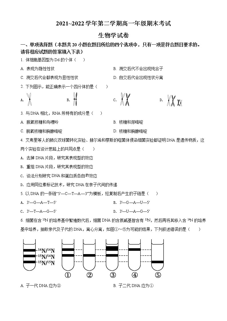 2022太原高一下学期期末生物试题含答案01