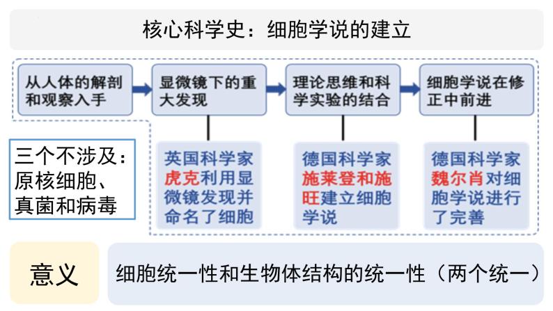 2022-2023学年高一上学期生物人教版必修一1.1细胞是生命活动的基本单位课件04