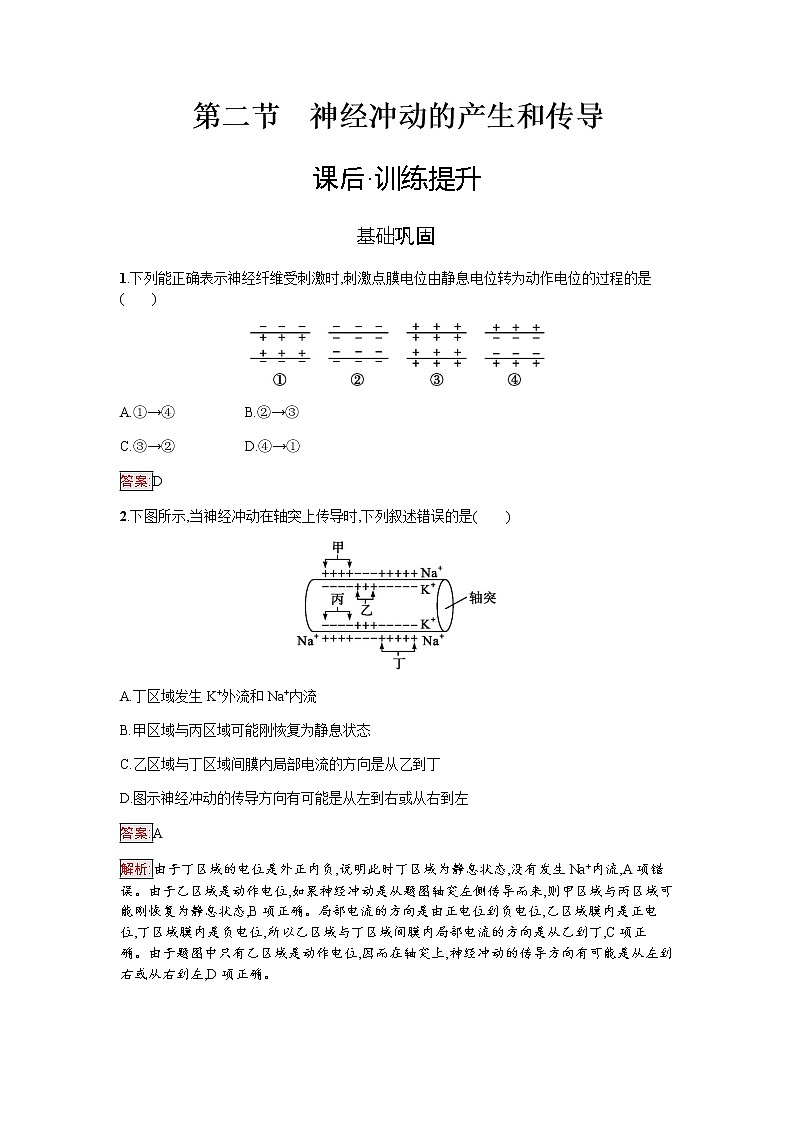 浙科版(2019)高中生物选择性必修1神经冲动的产生和传导作业含答案01