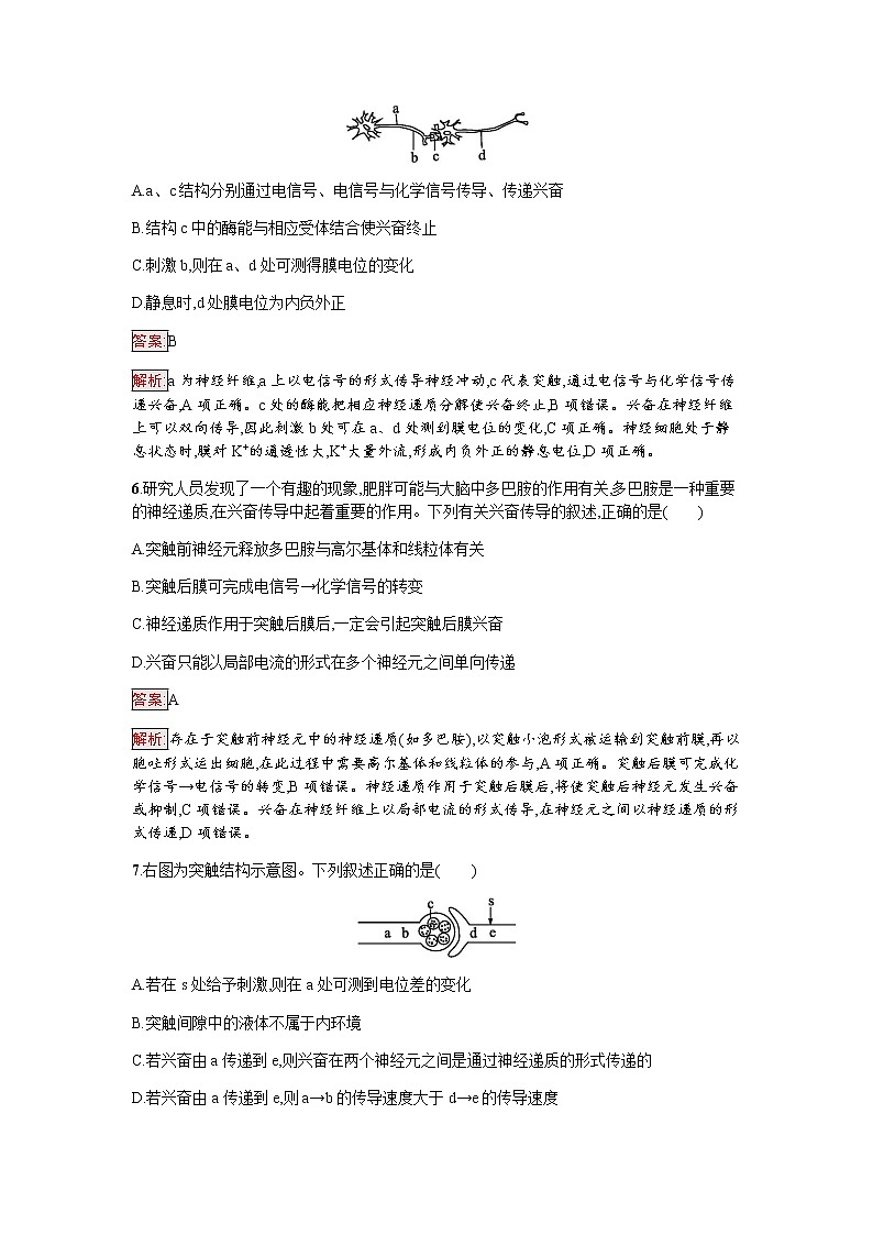 浙科版(2019)高中生物选择性必修1神经冲动的产生和传导作业含答案03