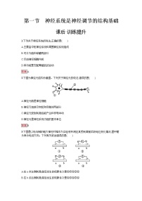 高中生物浙科版 (2019)选择性必修1 稳态与调节第一节  神经系统是神经调节的结构基础课时作业