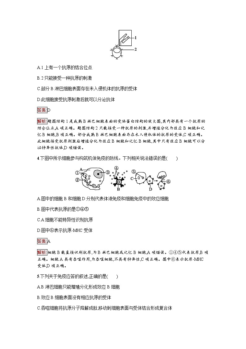 浙科版(2019)高中生物选择性必修1人体通过特异性免疫对抗病原体作业含答案第2页