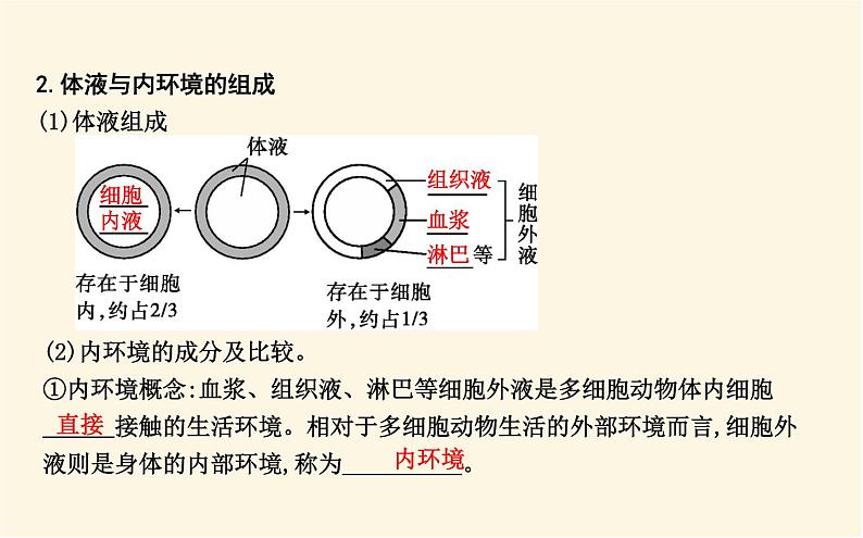 浙科版(2019)高中生物选择性必修1第一章第一节人体细胞生活在内环境中课件06