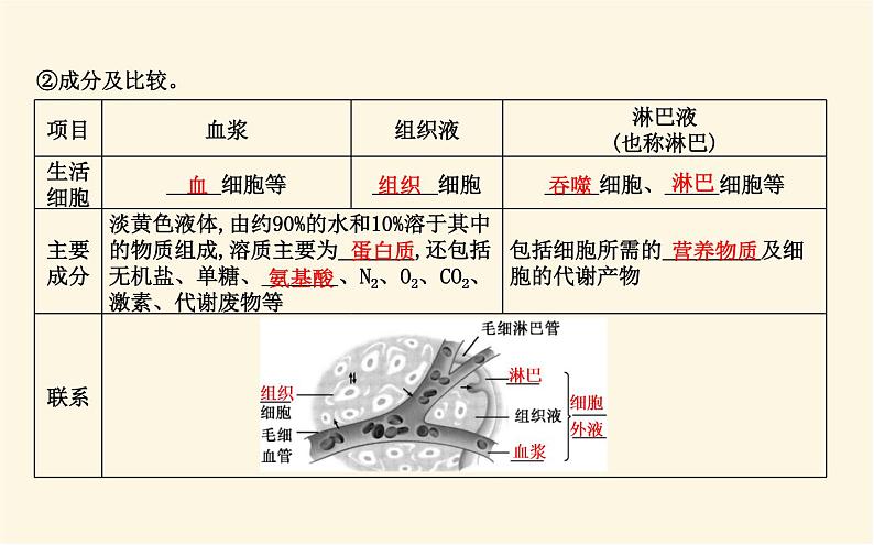 浙科版(2019)高中生物选择性必修1第一章第一节人体细胞生活在内环境中课件07
