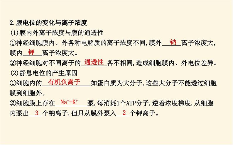 浙科版(2019)高中生物选择性必修1第二章第二节神经冲动的产生和传导课件06