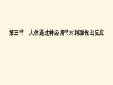 浙科版(2019)高中生物选择性必修1第二章第三节人体通过神经调节对刺激做出反应课件