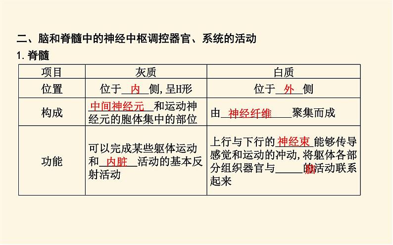 浙科版(2019)高中生物选择性必修1第二章第三节人体通过神经调节对刺激做出反应课件07