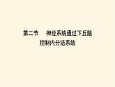 浙科版(2019)高中生物选择性必修1第三章第二节神经系统通过下丘脑控制内分泌系统课件