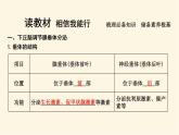 浙科版(2019)高中生物选择性必修1第三章第二节神经系统通过下丘脑控制内分泌系统课件