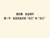 浙科版(2019)高中生物选择性必修1第四章第一节免疫系统识别“自己”和“非己”课件