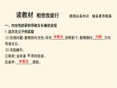 浙科版(2019)高中生物选择性必修1第五章第一节生长素的发现开启了人类对植物激素调节的探索课件