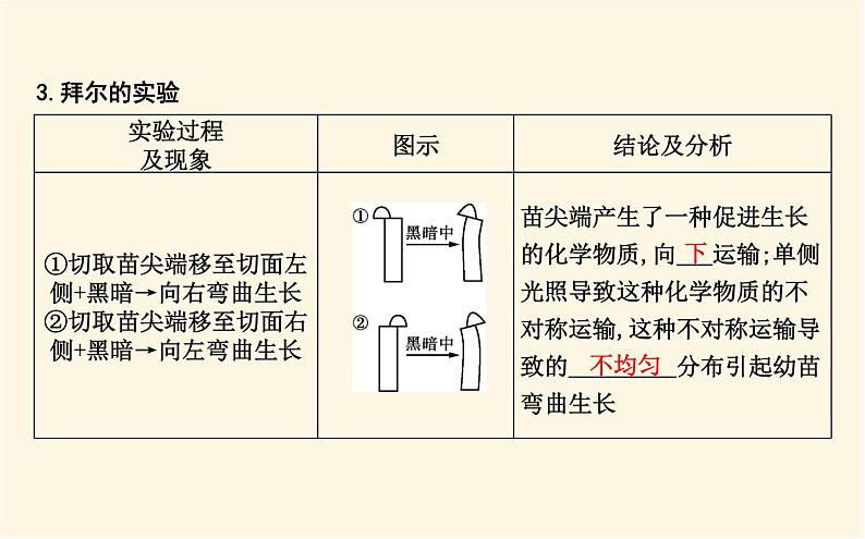 浙科版(2019)高中生物选择性必修1第五章第一节生长素的发现开启了人类对植物激素调节的探索课件第7页