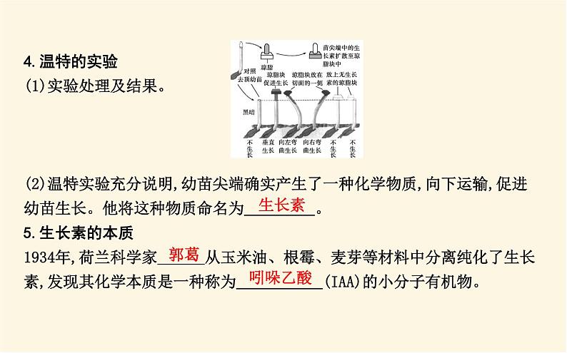 浙科版(2019)高中生物选择性必修1第五章第一节生长素的发现开启了人类对植物激素调节的探索课件第8页