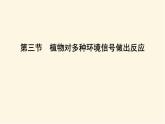 浙科版(2019)高中生物选择性必修1第五章第三节植物对多种环境信号做出反应课件