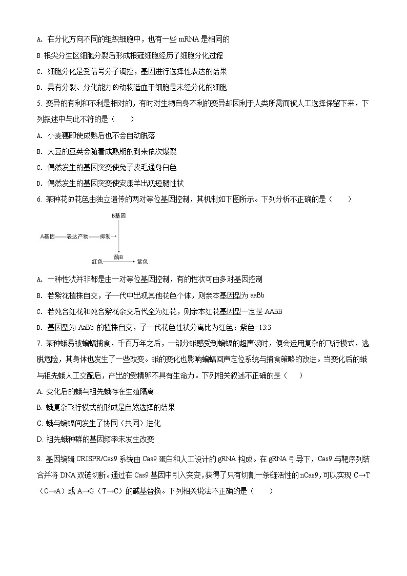 2022届北京市八十中高三三模生物试题含解析第2页
