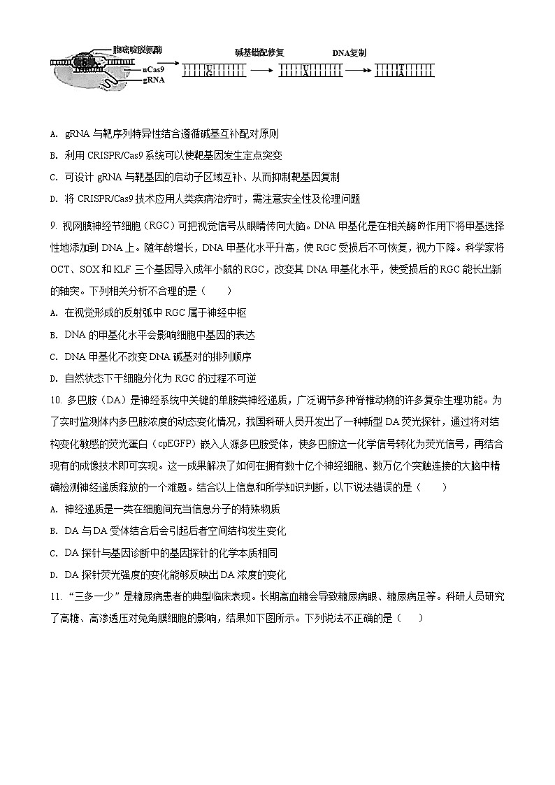 2022届北京市八十中高三三模生物试题含解析第3页
