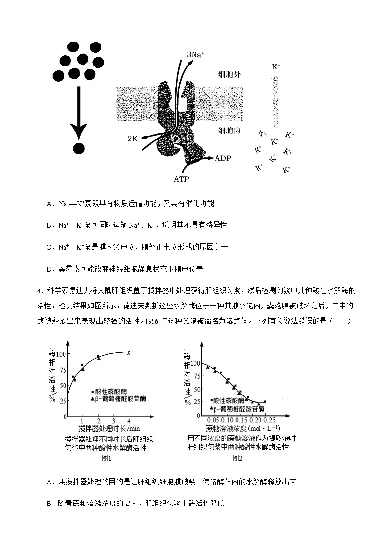 2022届河北省唐山市第一中学高三第三次模拟生物试卷含答案02