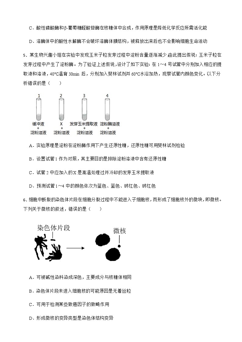 2022届河北省唐山市第一中学高三第三次模拟生物试卷含答案03