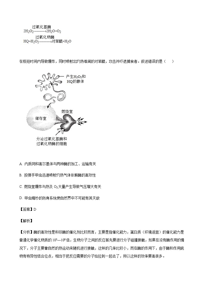 2022届北京市西城区高三下学期二模考试生物试题含解析第2页