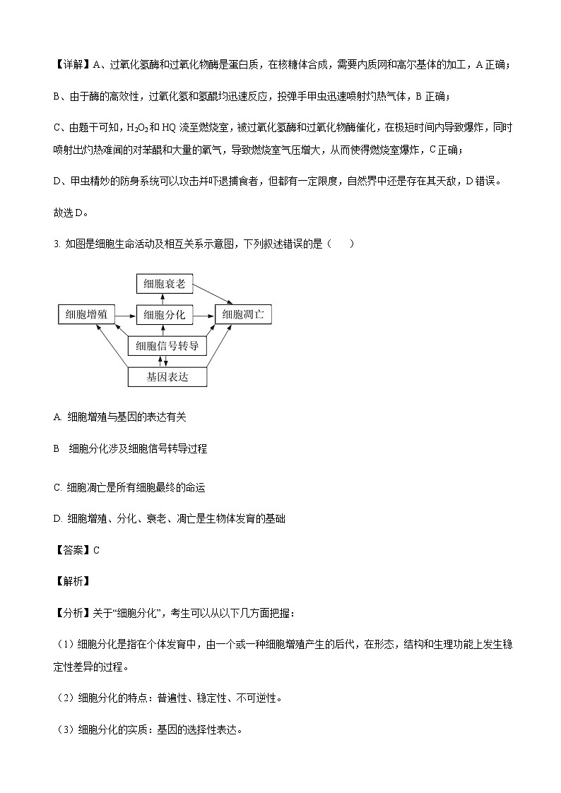 2022届北京市西城区高三下学期二模考试生物试题含解析第3页