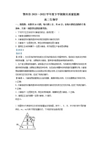 2021-2022学年湖北省鄂州市高二下学期期末质量监测生物试题含解析