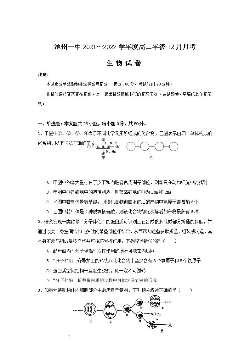 2021-2022学年安徽省池州市第一中学高二上学期12月月考生物试题含答案第1页