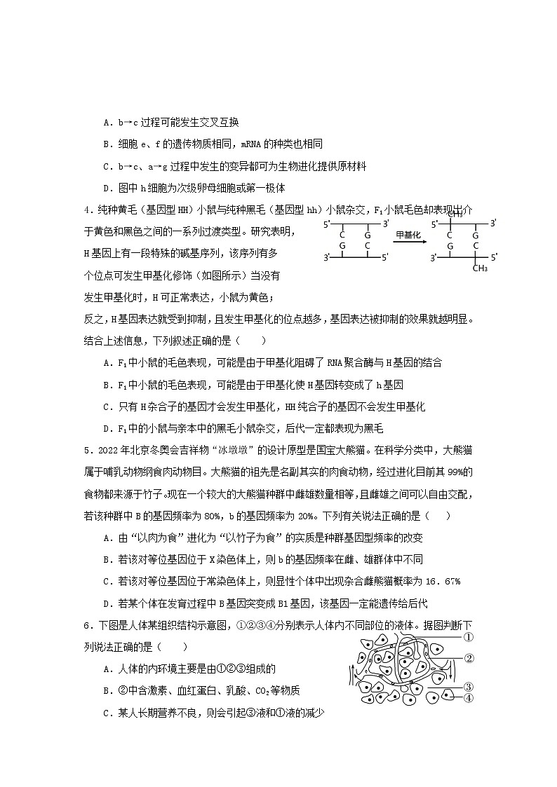 2021-2022学年安徽省池州市第一中学高二上学期12月月考生物试题含答案第2页