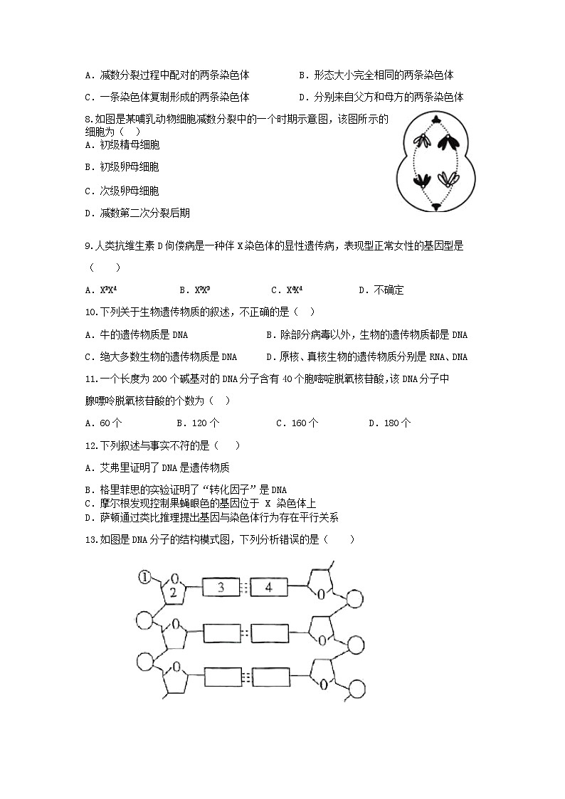 2021-2022学年河北武强中学高一下学期期中考试生物试卷含答案第2页
