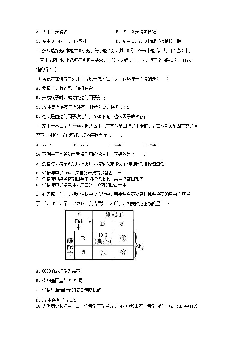 2021-2022学年河北武强中学高一下学期期中考试生物试卷含答案第3页