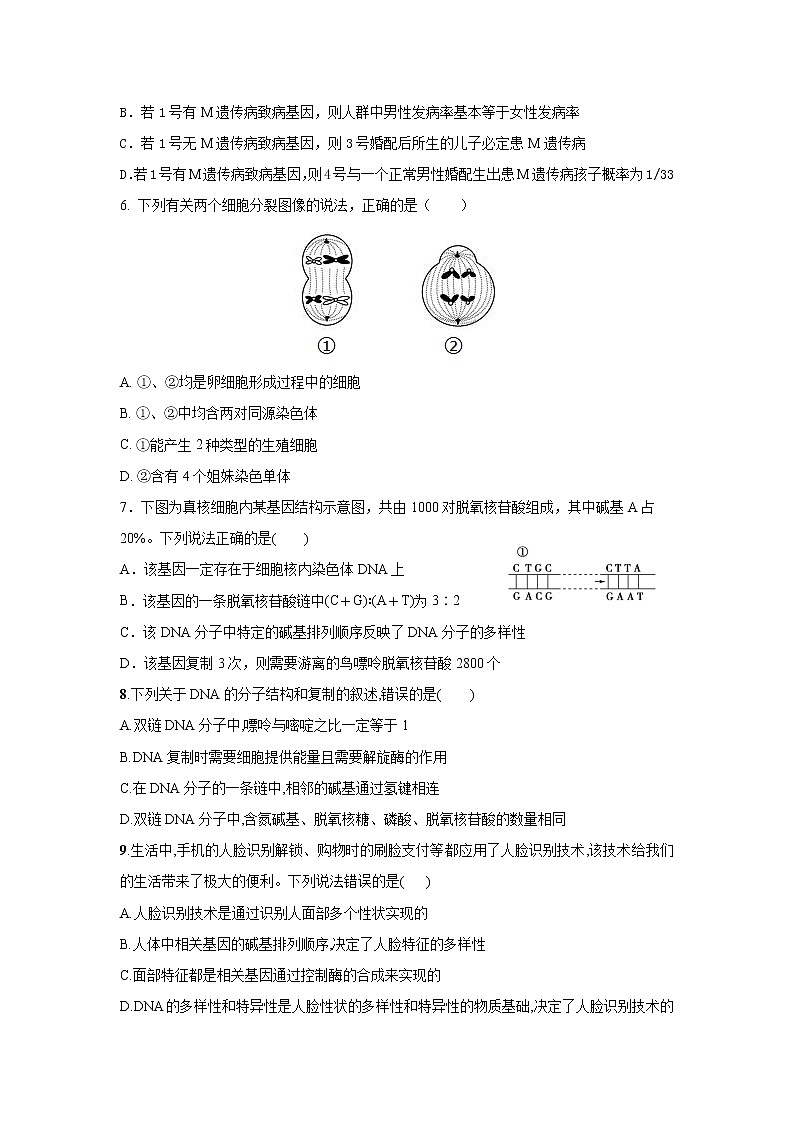 2021-2022学年黑龙江省齐齐哈尔市第八中学校高一下学期期中考试生物试卷含答案第2页