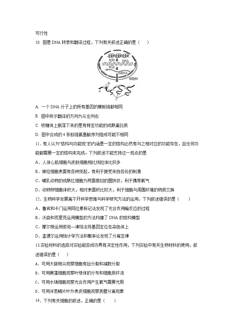 2021-2022学年黑龙江省齐齐哈尔市第八中学校高一下学期期中考试生物试卷含答案第3页