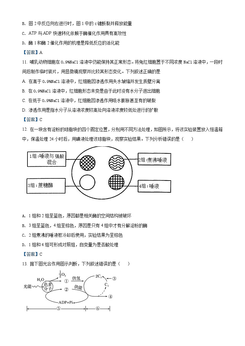 浙江省嘉兴市第五高级中学2021-2022学年高二10月月考生物试题含答案第3页