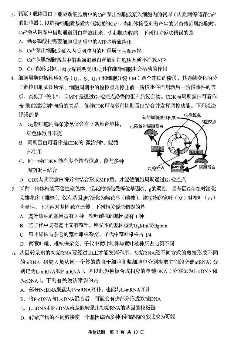 山东省青岛市2022-2023学年高三上学期期初调研检测 生物试题及答案第2页