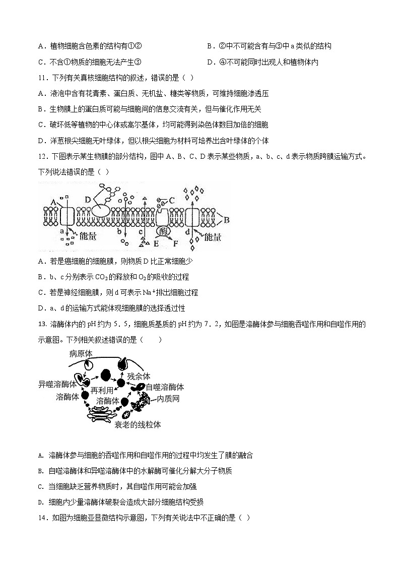 2023届黑龙江省双鸭山市第一中学高三上学期开学考试生物试题03