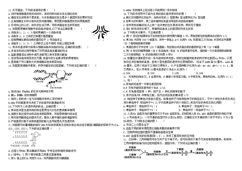 黑龙江省哈尔滨师范大学附属中学2022-2023高二上学期开学考试生物试题第2页