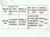 人教版高中生物选择性必修2第2章第2节群落的主要类型课件