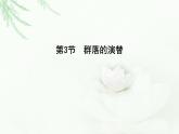 人教版高中生物选择性必修2第2章第3节群落的演替课件