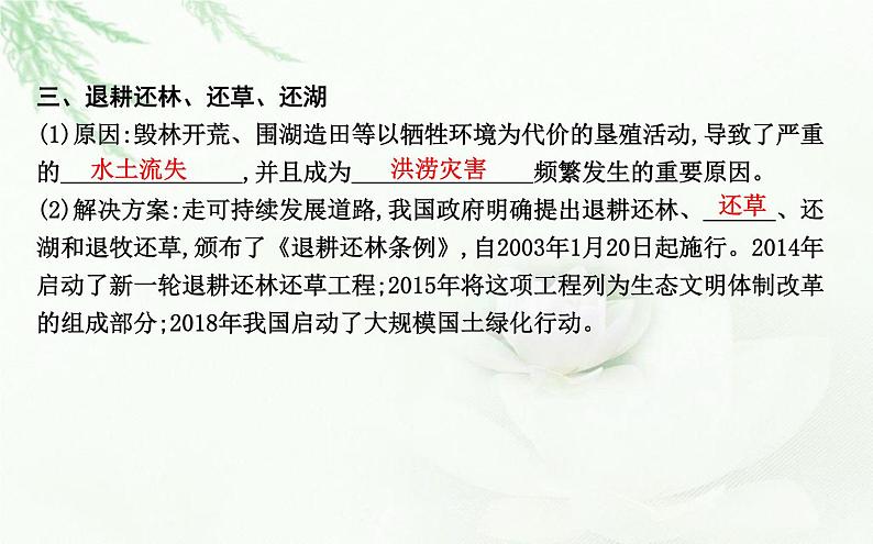 人教版高中生物选择性必修2第2章第3节群落的演替课件第7页