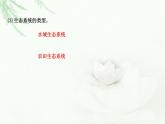 人教版高中生物选择性必修2第3章第1节生态系统的结构课件