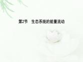 人教版高中生物选择性必修2第3章第2节生态系统的能量流动课件