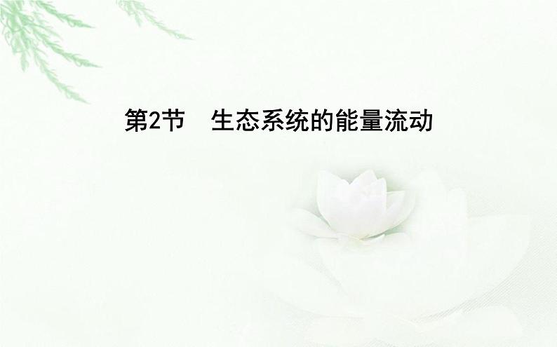 人教版高中生物选择性必修2第3章第2节生态系统的能量流动课件01