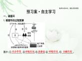 人教版高中生物选择性必修2第3章第3节生态系统的物质循环课件