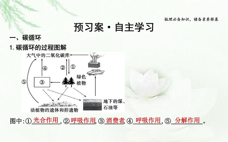 人教版高中生物选择性必修2第3章第3节生态系统的物质循环课件第4页