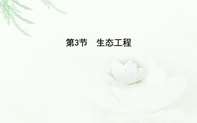 人教版高中生物选择性必修2第4章第3节生态工程课件01