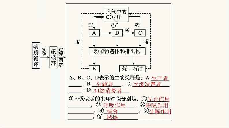 人教版高中生物选择性必修2生态系统的物质循环课件第6页