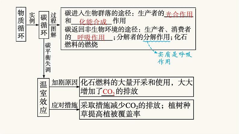 人教版高中生物选择性必修2生态系统的物质循环课件第7页