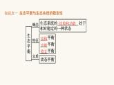 人教版高中生物选择性必修2生态系统的稳定性课件
