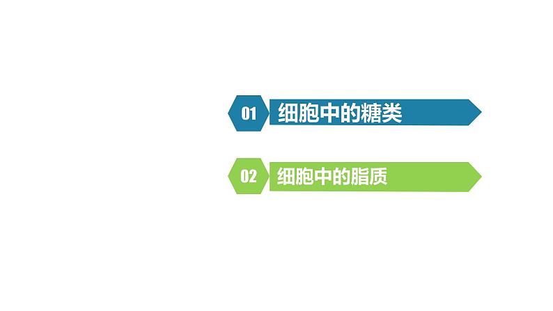 人教版高一生物必修一课件2.3细胞中的糖类和脂质02